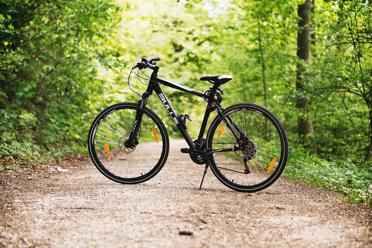 Bicicletă de munte neagră parcată pe un drum de pământ prin pădure