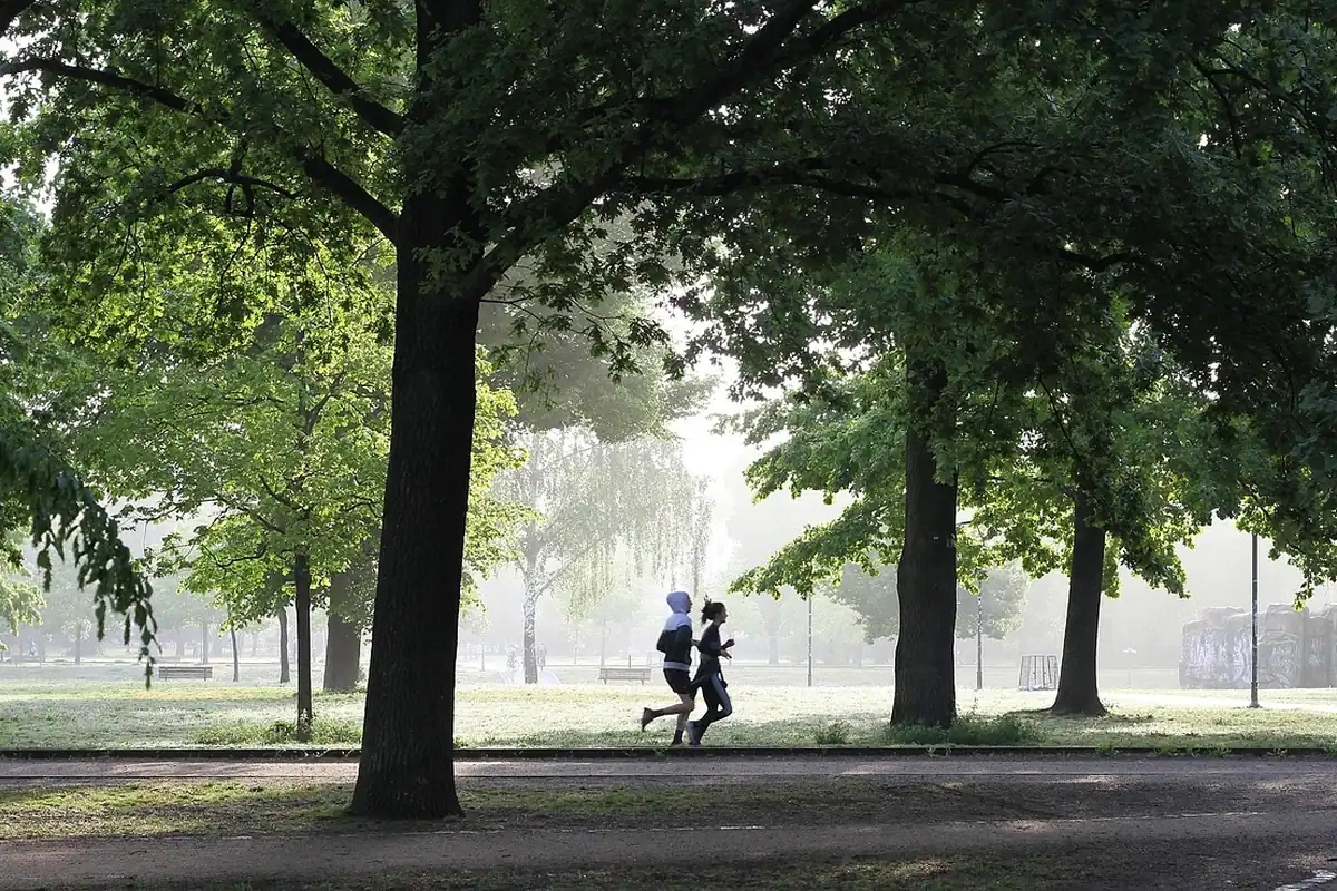 Doi alergători pe o alee din parc, într-o dimineață cu ceață ușoară