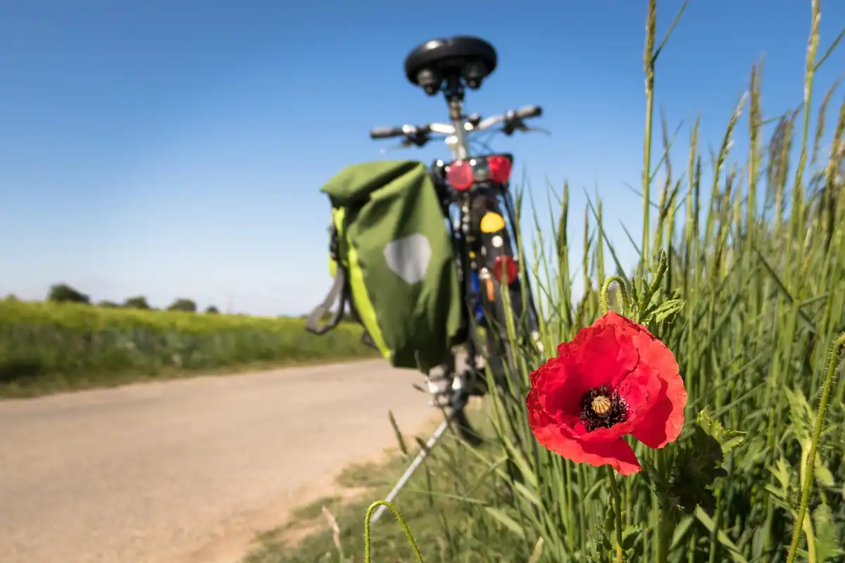 Drum de țară pe care trece un biciclist, cu umbra bicicletei pe asfalt, pentru antrenament ușor