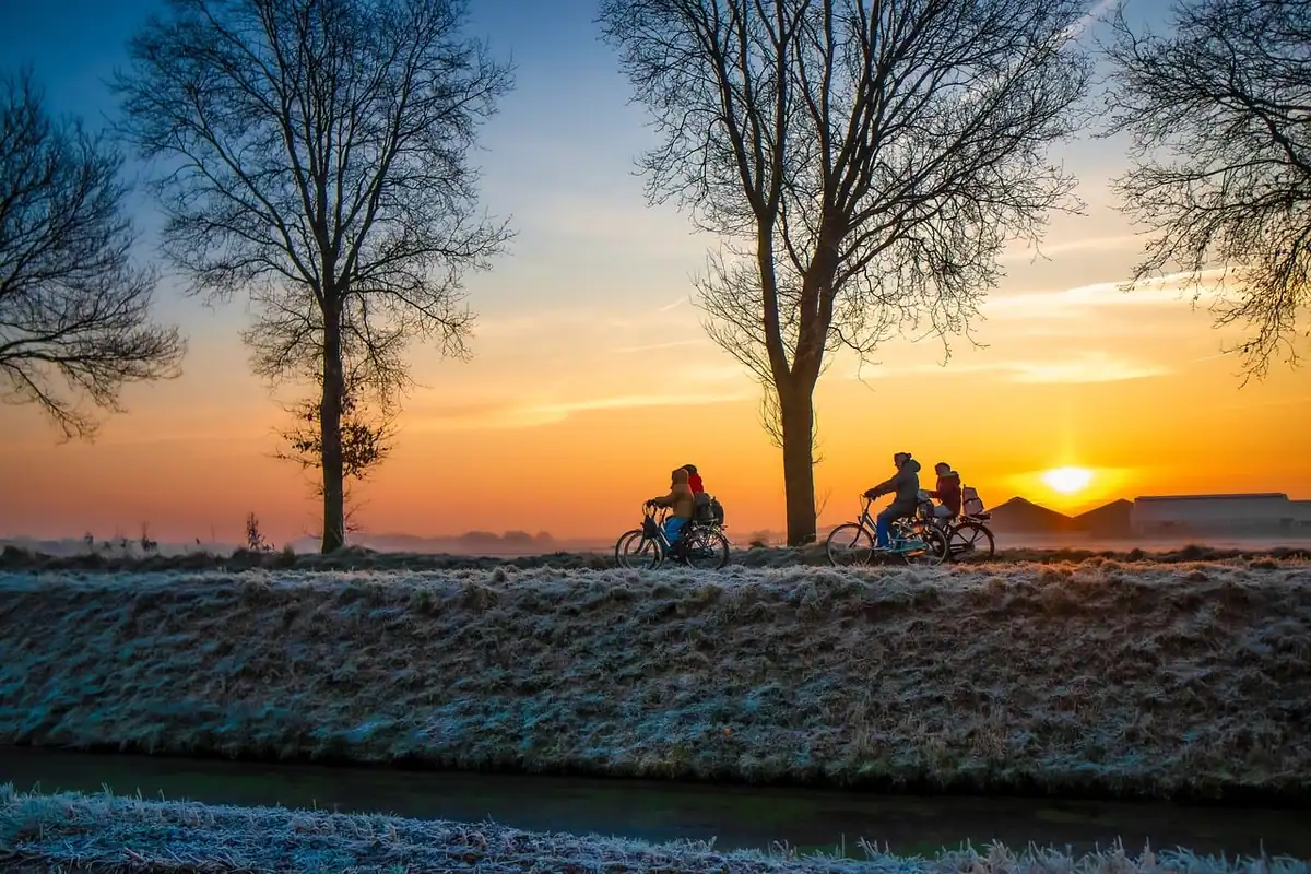 Bicicliști care pedalează pe un dig la apus, printre copaci desfrunziți